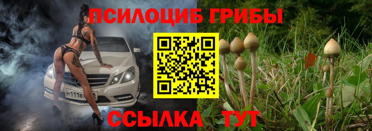 дарнет шоп  Вход с VPN  Нижнекамск  Галлюциногенные грибы ЛСД 