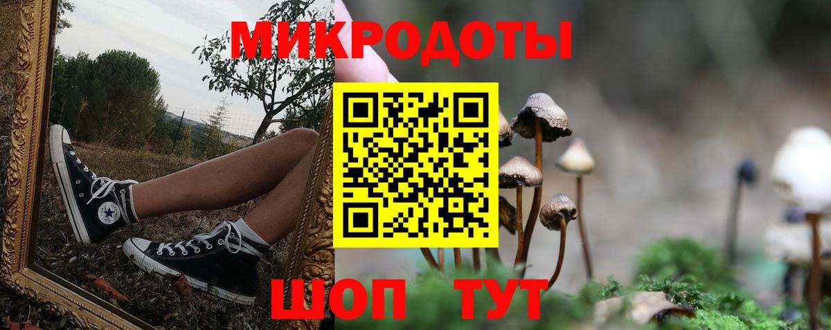 Псилоцибиновые грибы мухоморы Нижнекамск